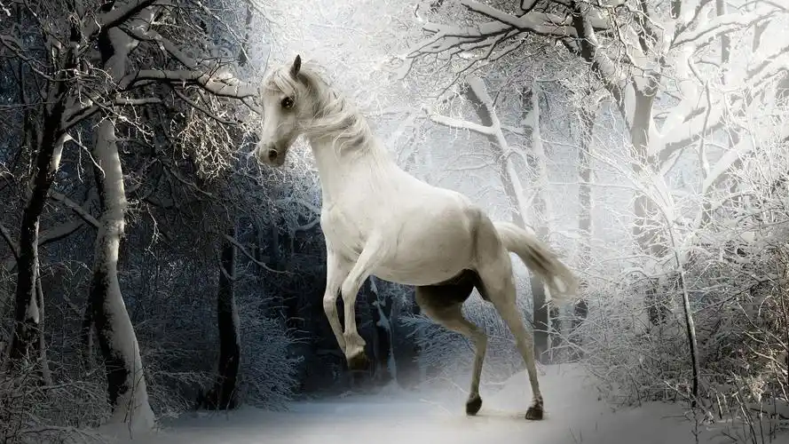 u=957217926,2154975052&fm=253&fmt=auto&app=138&f=JPEG.webp
